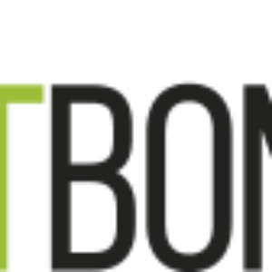 bestbonussk logo