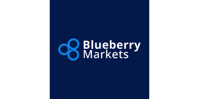 Blueberry Markets Logo