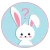 Bunny Corset Affiliate Program