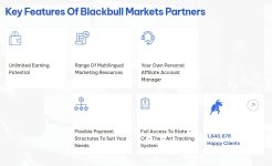 BlackBull webpage