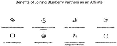 Benefits of Blueberry Affiliate Program